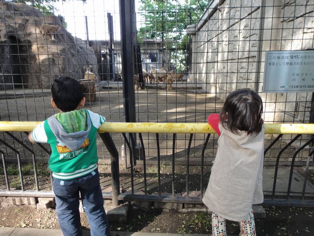 動物公園
